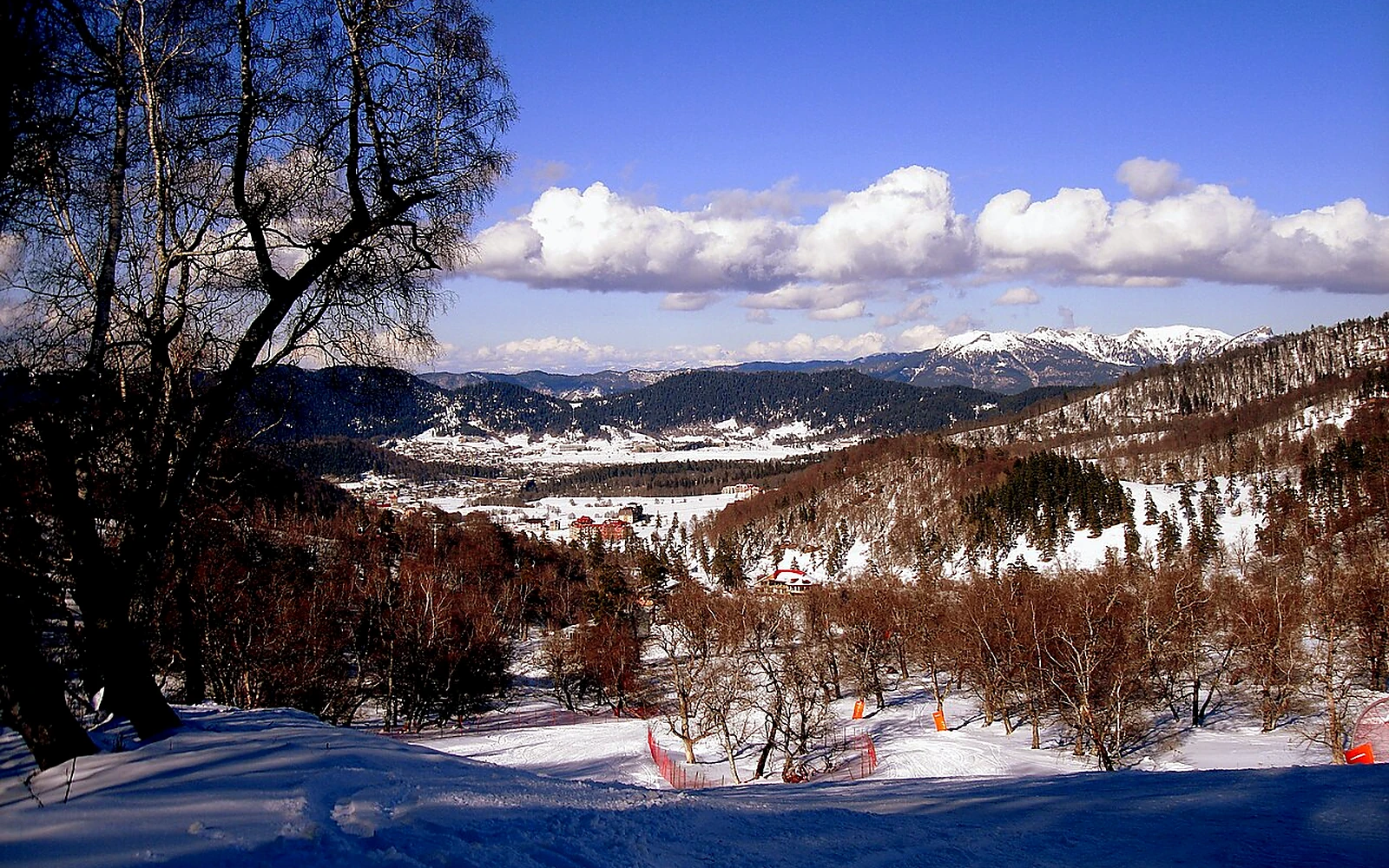 Borjomi & Bakuriani