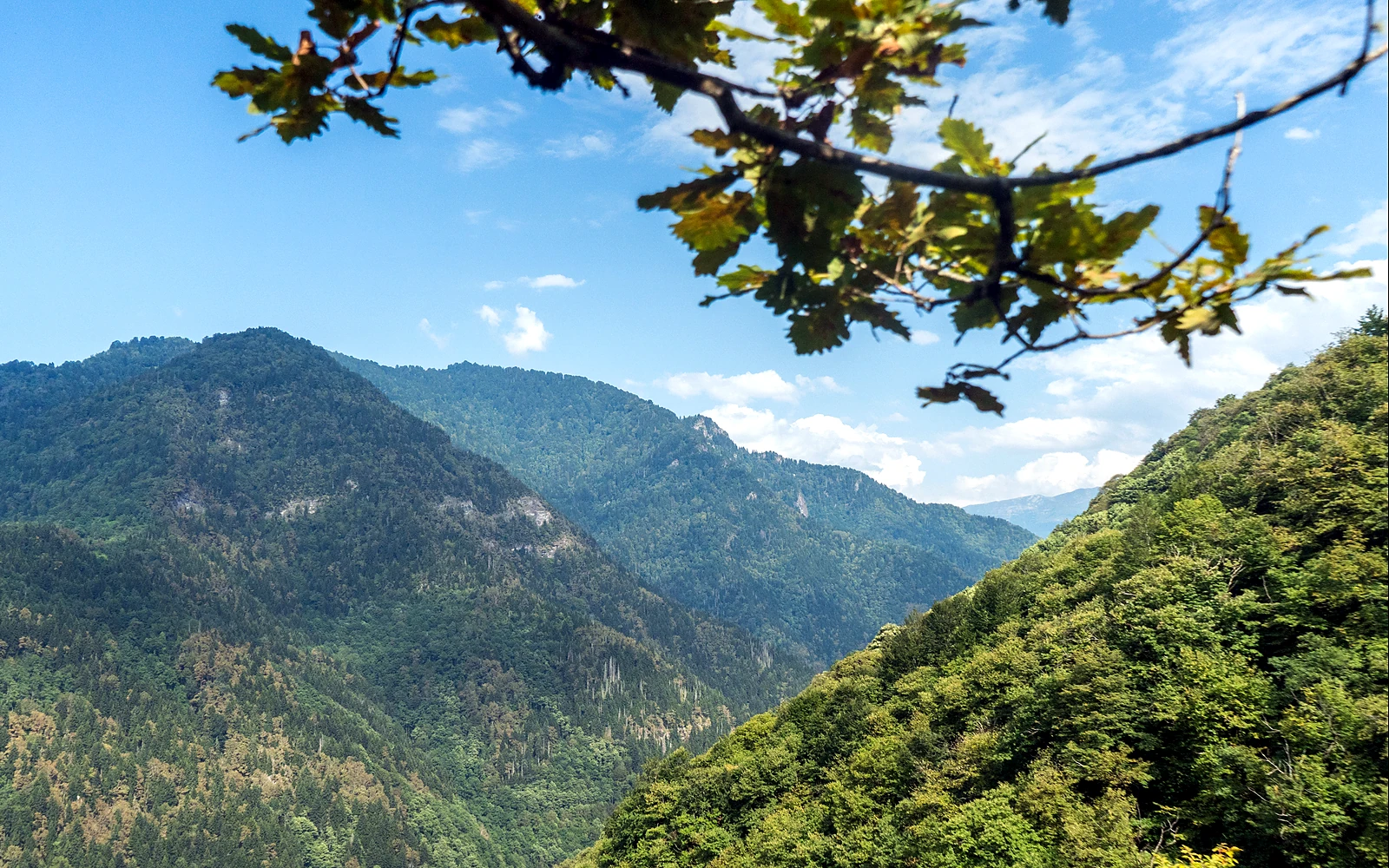 Machakhela Gorge